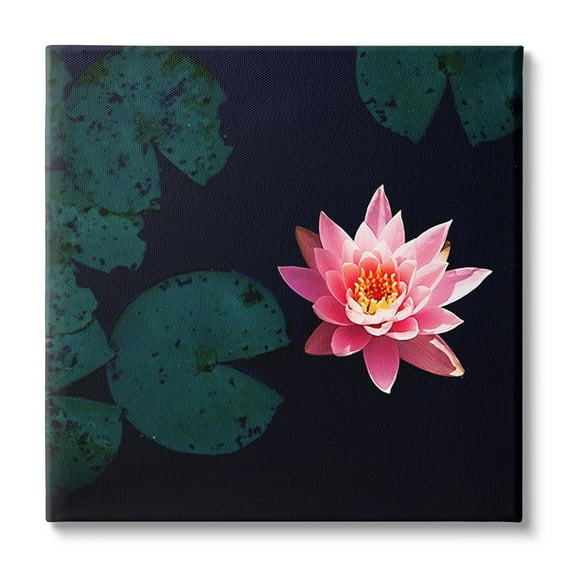 Stupell Industries Pink Lotus Pond Lily Flower Botanical & Floral Photography Gallery Wrapped Canvas Print Wall Art