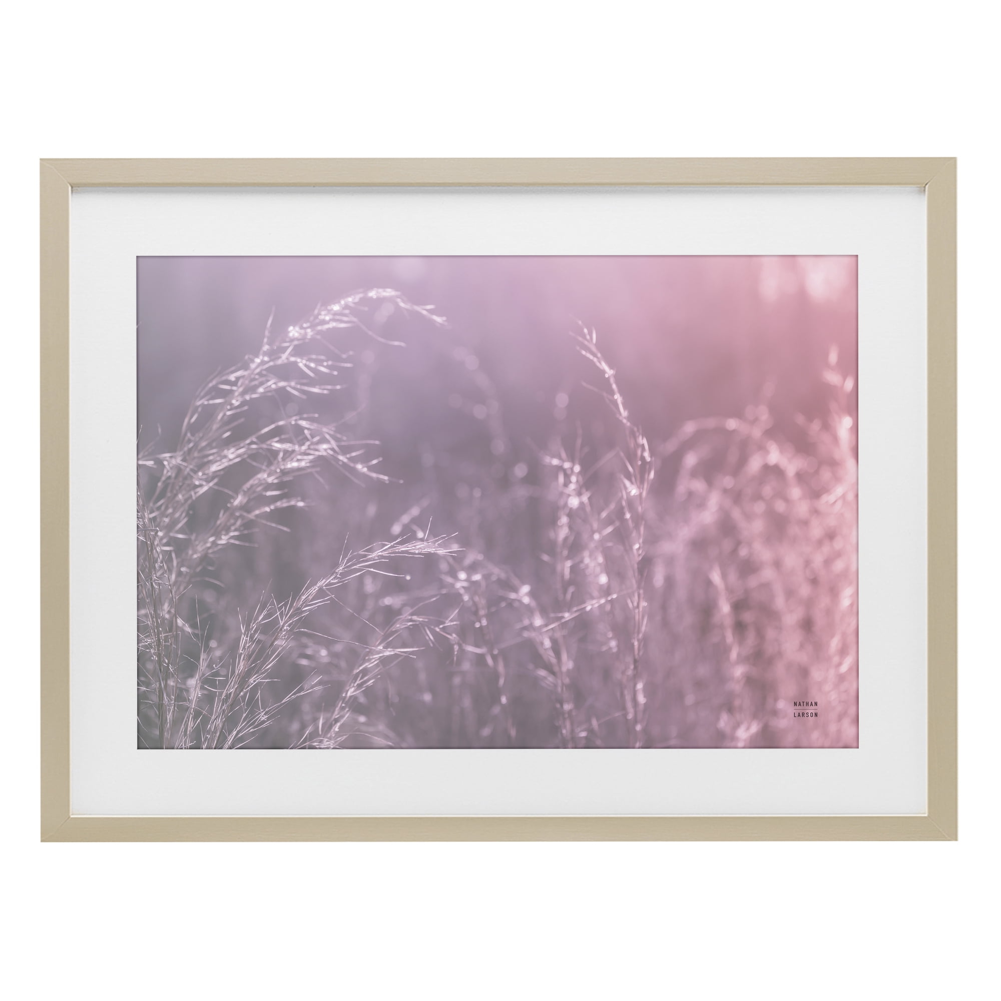 Stupell Industries Pink Meadow at Dawn Birch Framed Print Under Glass, design by Nathan Larson