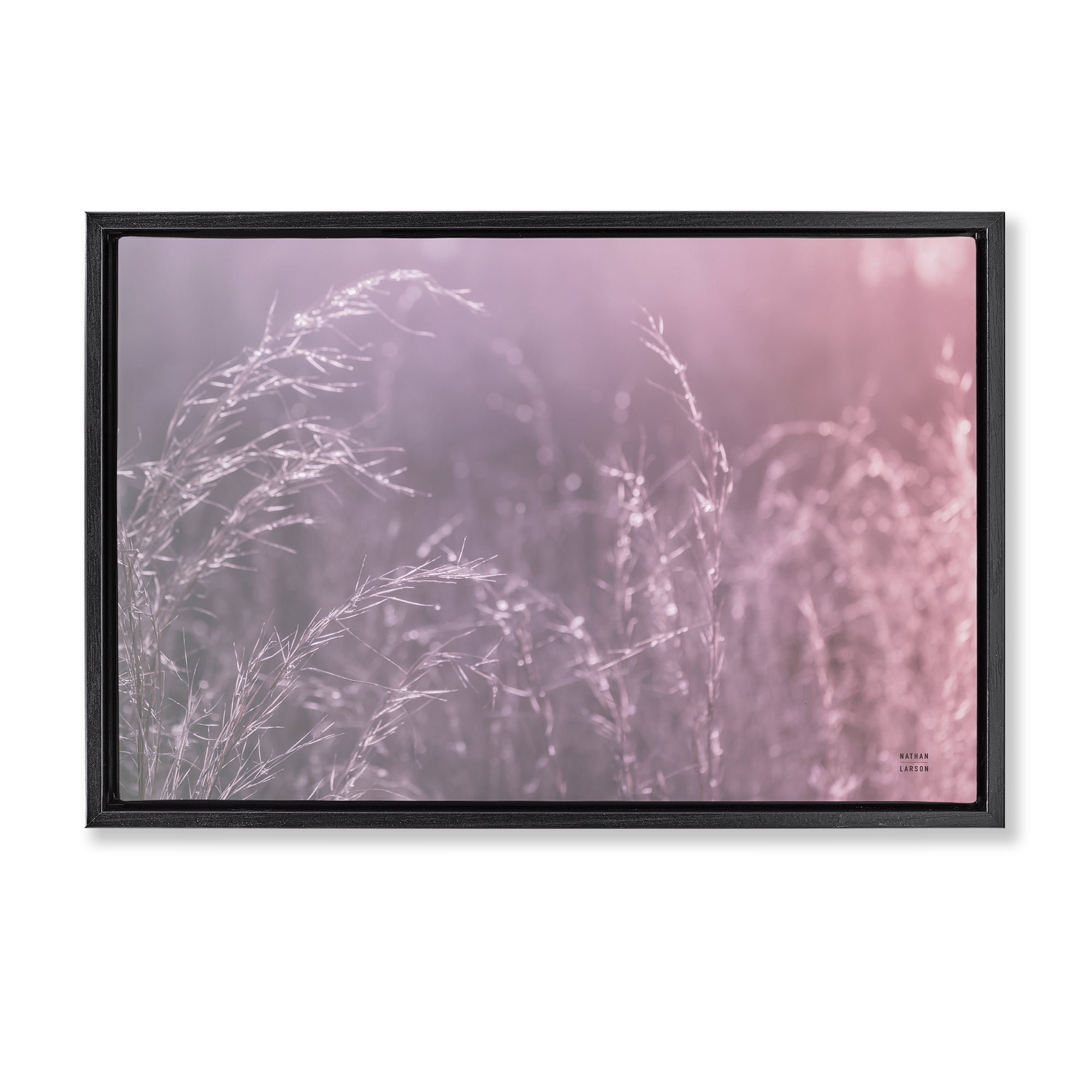 Stupell Industries Pink Meadow at Dawn Black Framed Floater Canvas Wall Art, design by Nathan Larson