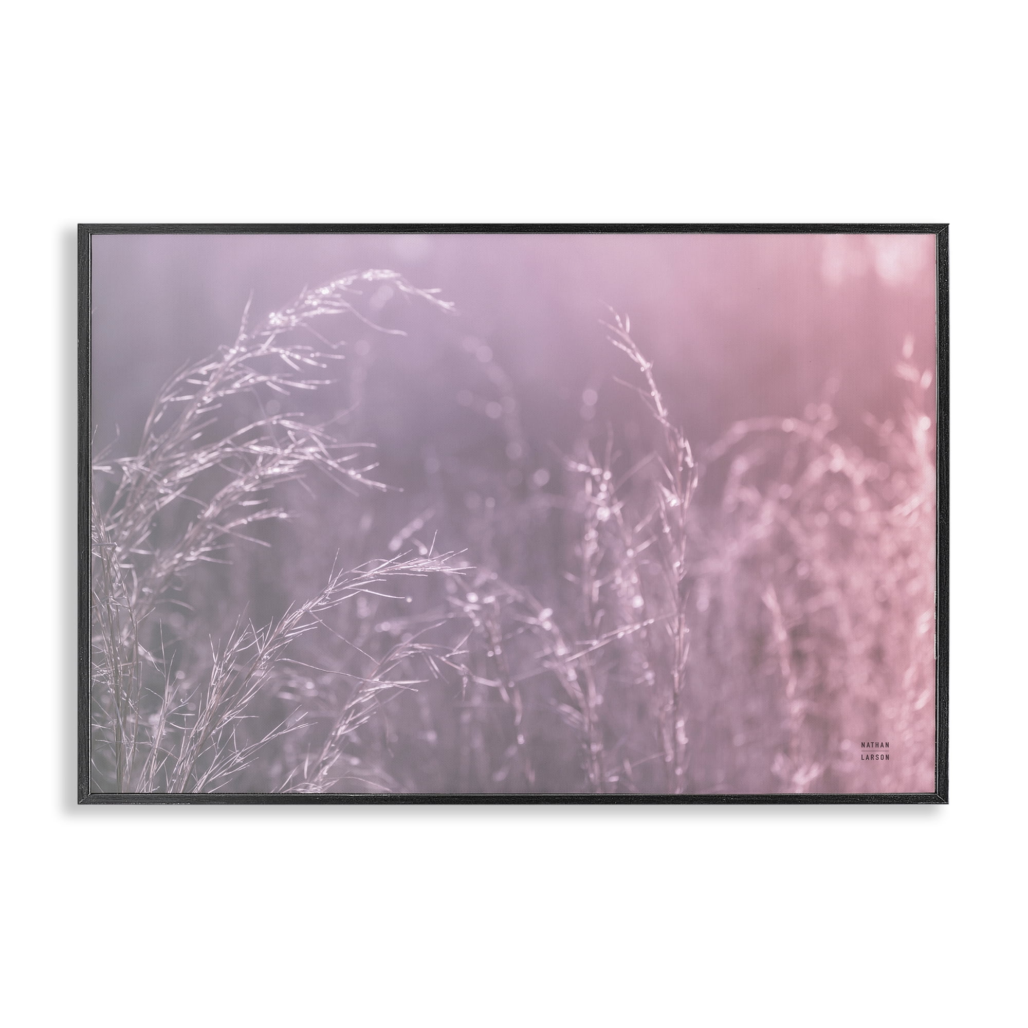 Stupell Industries Pink Meadow at Dawn Black Framed Giclee Art, design by Nathan Larson
