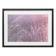 thumbnail image 1 of Stupell Industries Modern Pink Meadow at Dawn Black Framed Print Under Glass, 20 x 14, by Nathan Larson, 1 of 8