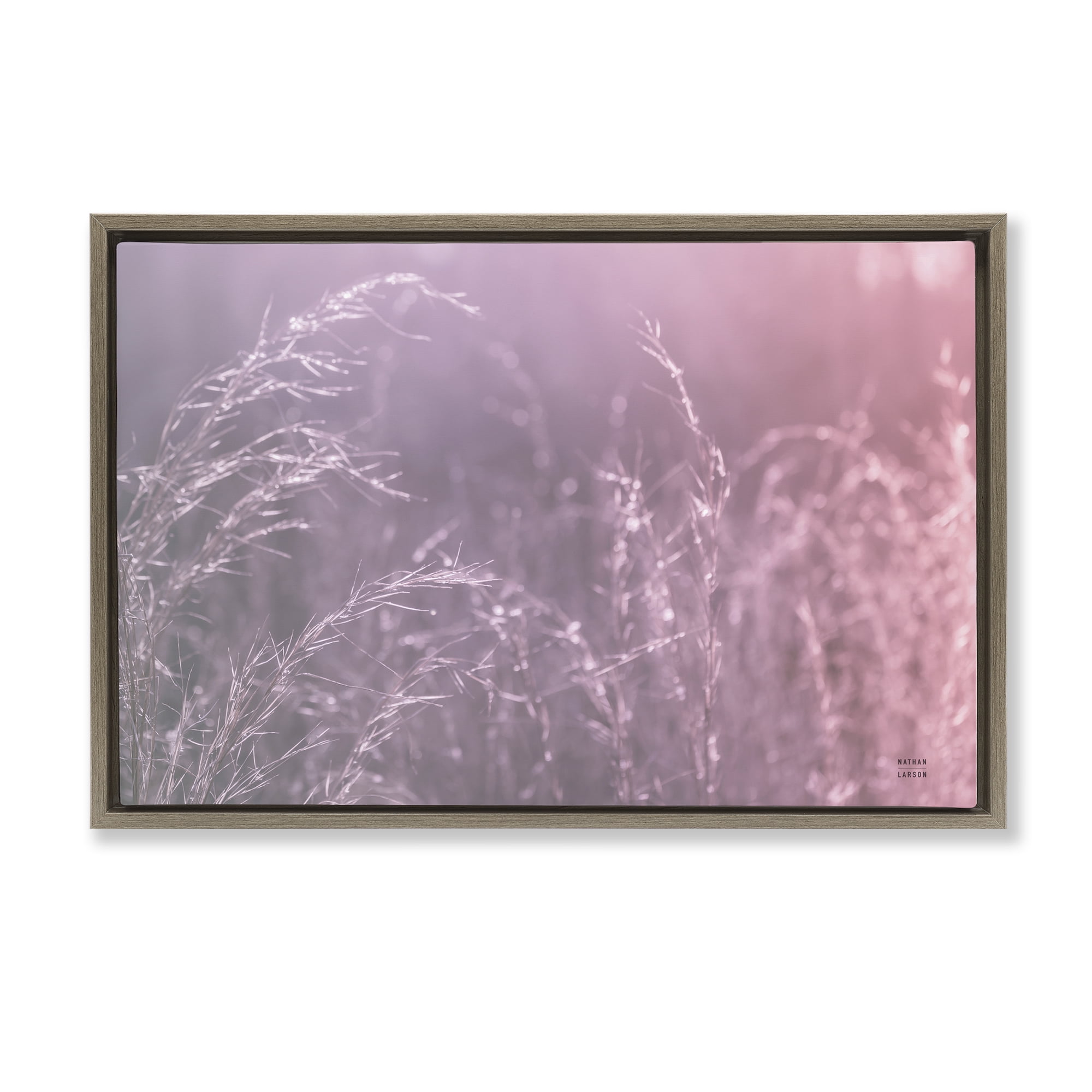 Stupell Industries Pink Meadow at Dawn Brown Framed Floater Canvas Wall Art, design by Nathan Larson