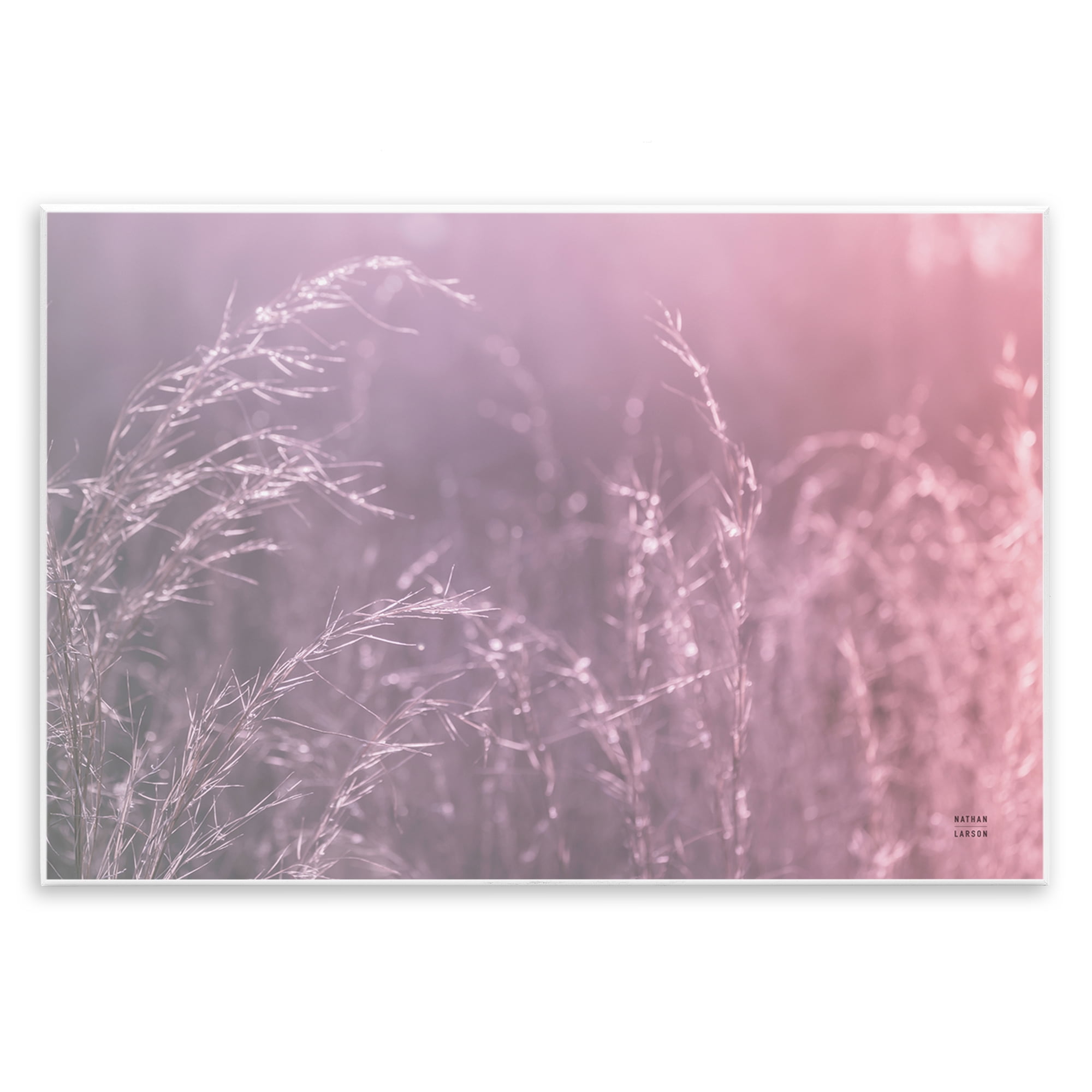 Stupell Industries Pink Meadow at Dawn Wall Plaque Art, design by Nathan Larson