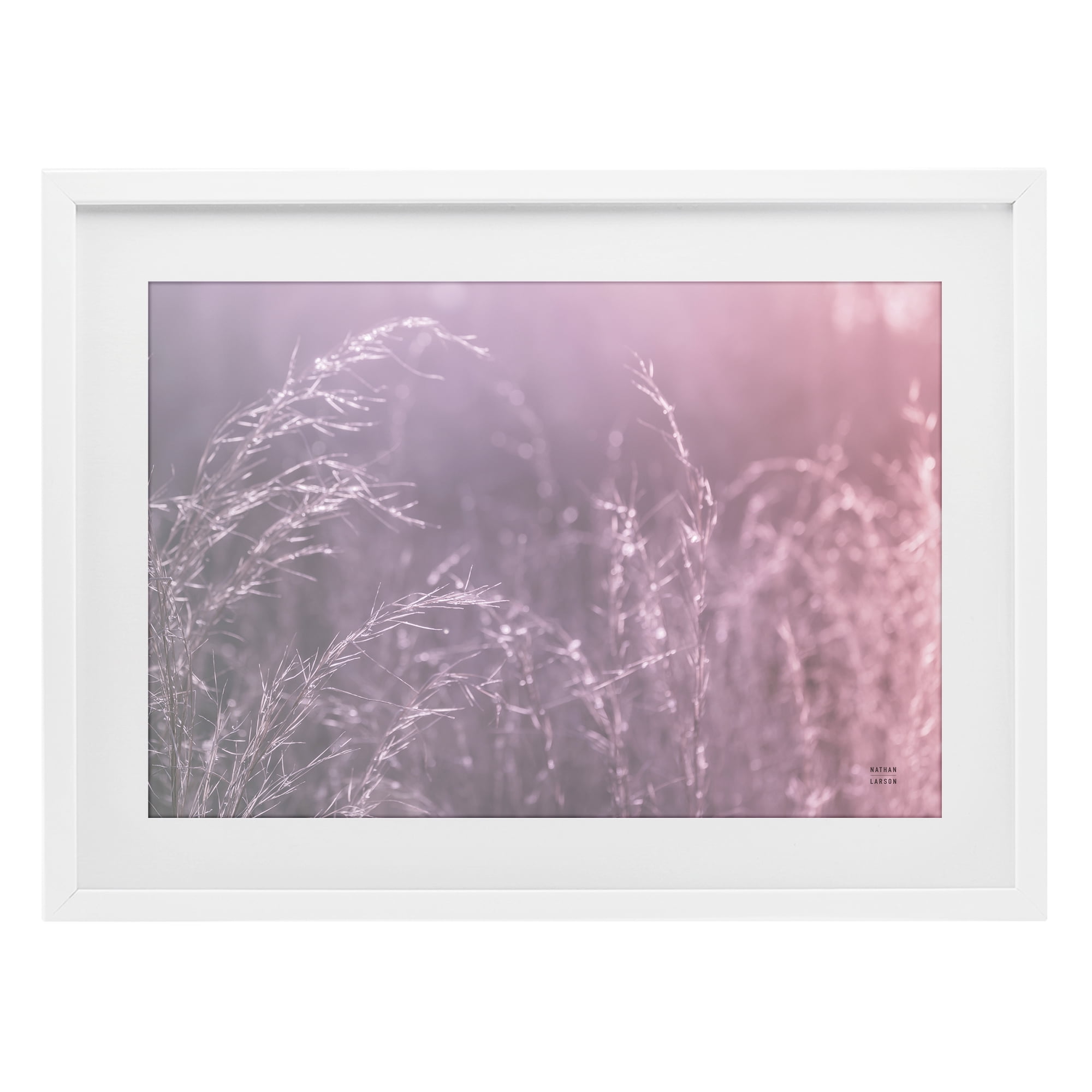 Stupell Industries Pink Meadow at Dawn White Framed Print Under Glass, design by Nathan Larson