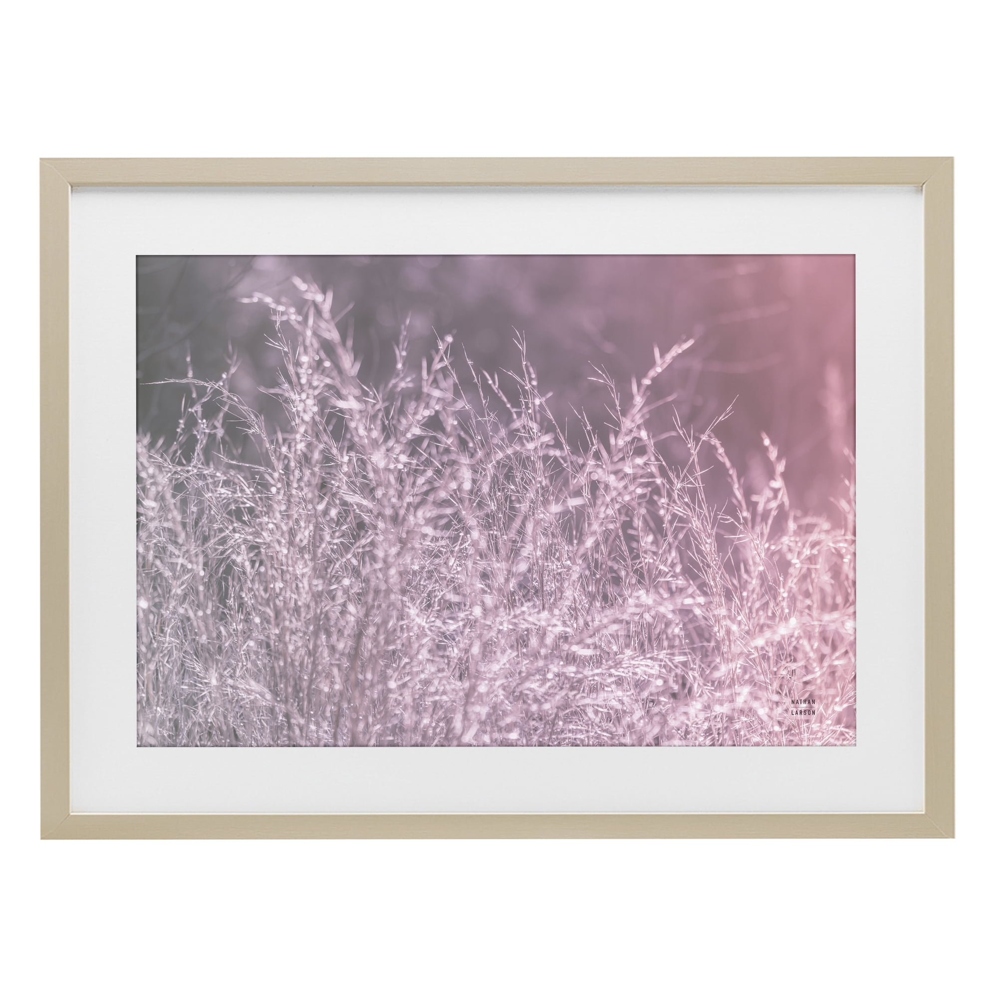 Stupell Industries Pink Morning Gentle Meadow Birch Framed Print Under Glass, design by Nathan Larson