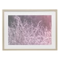 thumbnail image 1 of Stupell Industries Contemporary Pink Morning Gentle Meadow Birch Framed Print Under Glass, 23 x 17, by Nathan Larson, 1 of 8