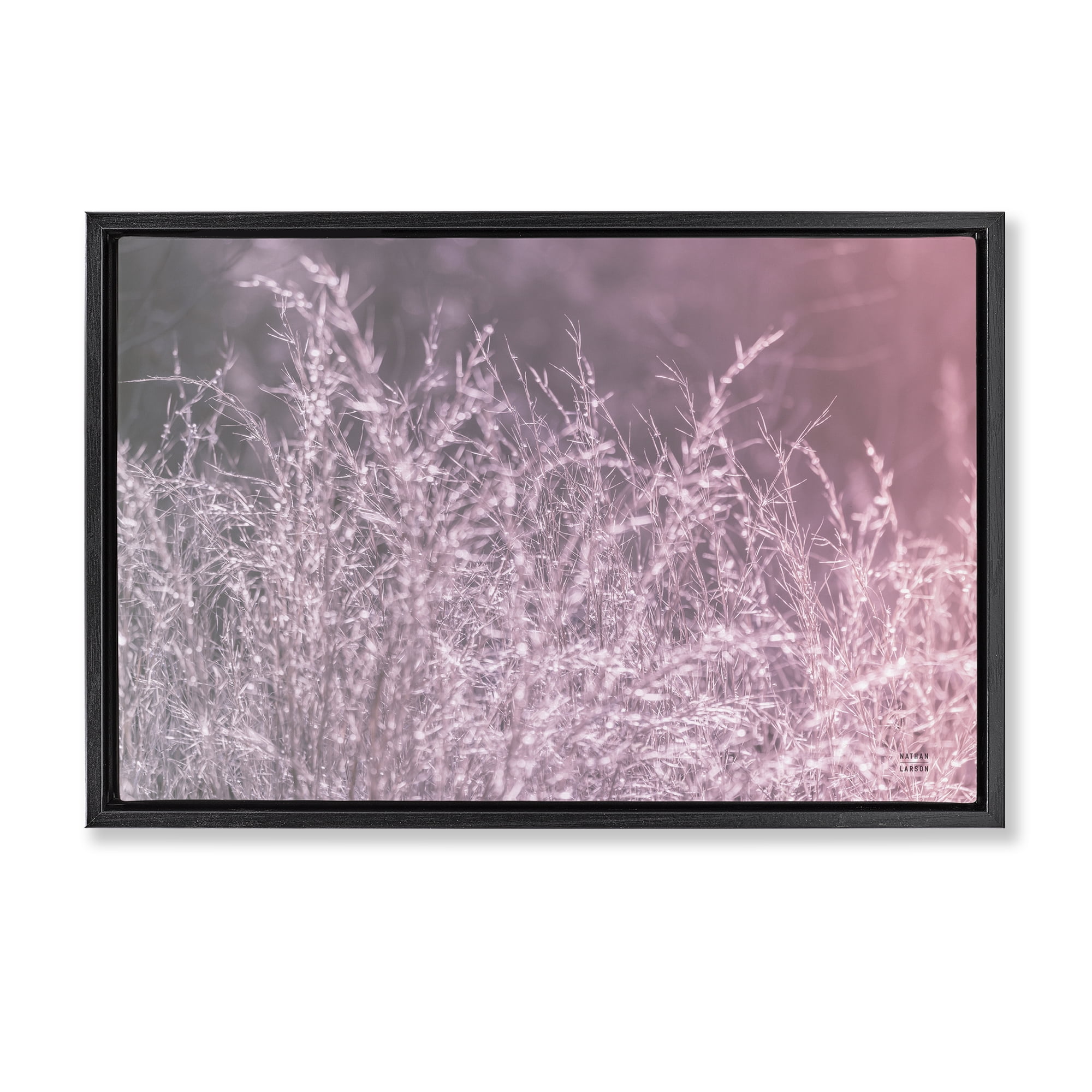 Stupell Industries Pink Morning Gentle Meadow Black Framed Floater Canvas Wall Art, design by Nathan Larson