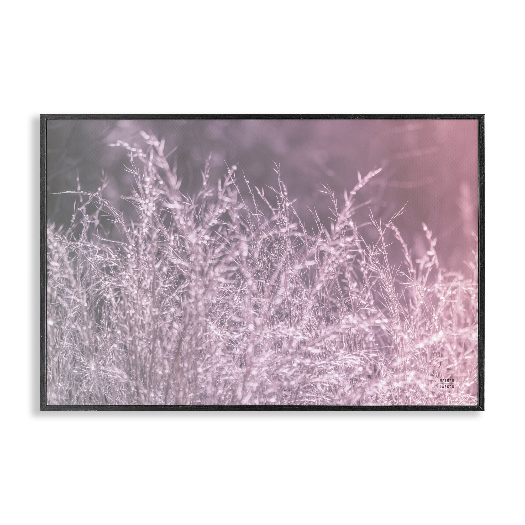 Stupell Industries Pink Morning Gentle Meadow Black Framed Giclee Art, design by Nathan Larson