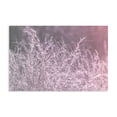 thumbnail image 1 of Stupell Industries Contemporary Pink Morning Gentle Meadow Canvas Art, 45 x 30, by Nathan Larson, 1 of 8
