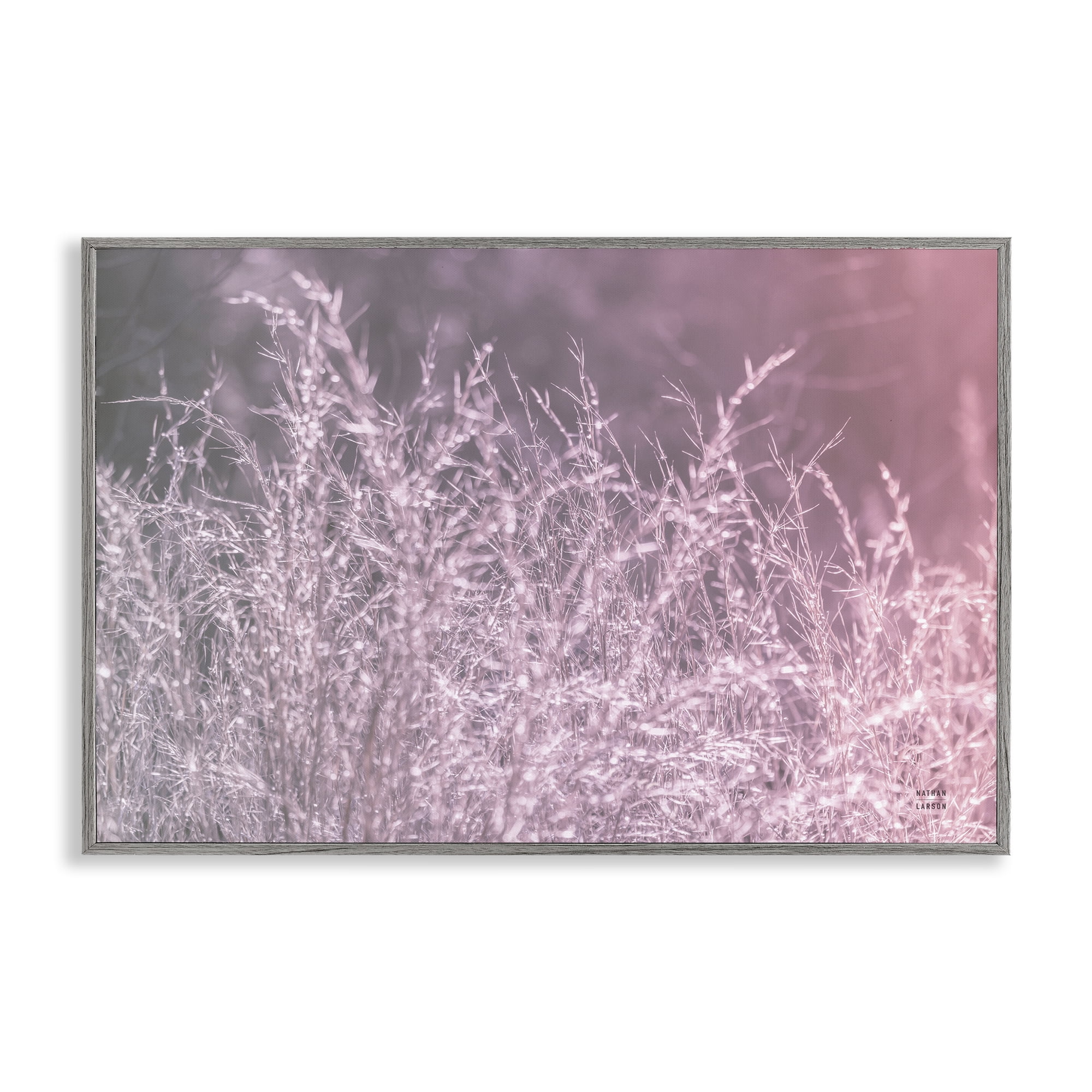 Stupell Industries Pink Morning Gentle Meadow Gray Framed Giclee Art, design by Nathan Larson