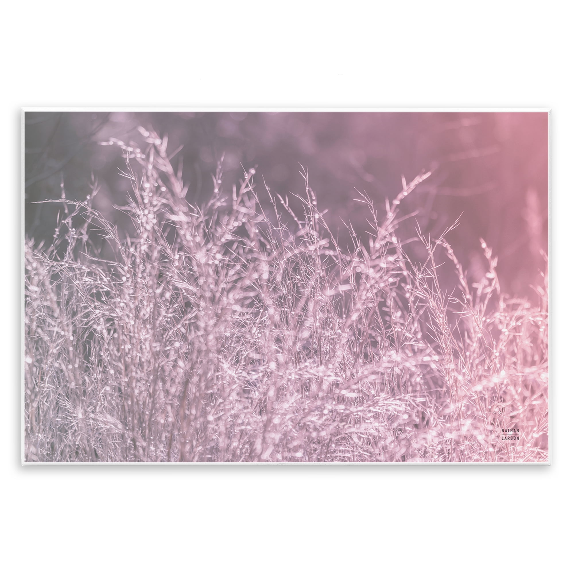 Stupell Industries Pink Morning Gentle Meadow Wall Plaque Art, design by Nathan Larson