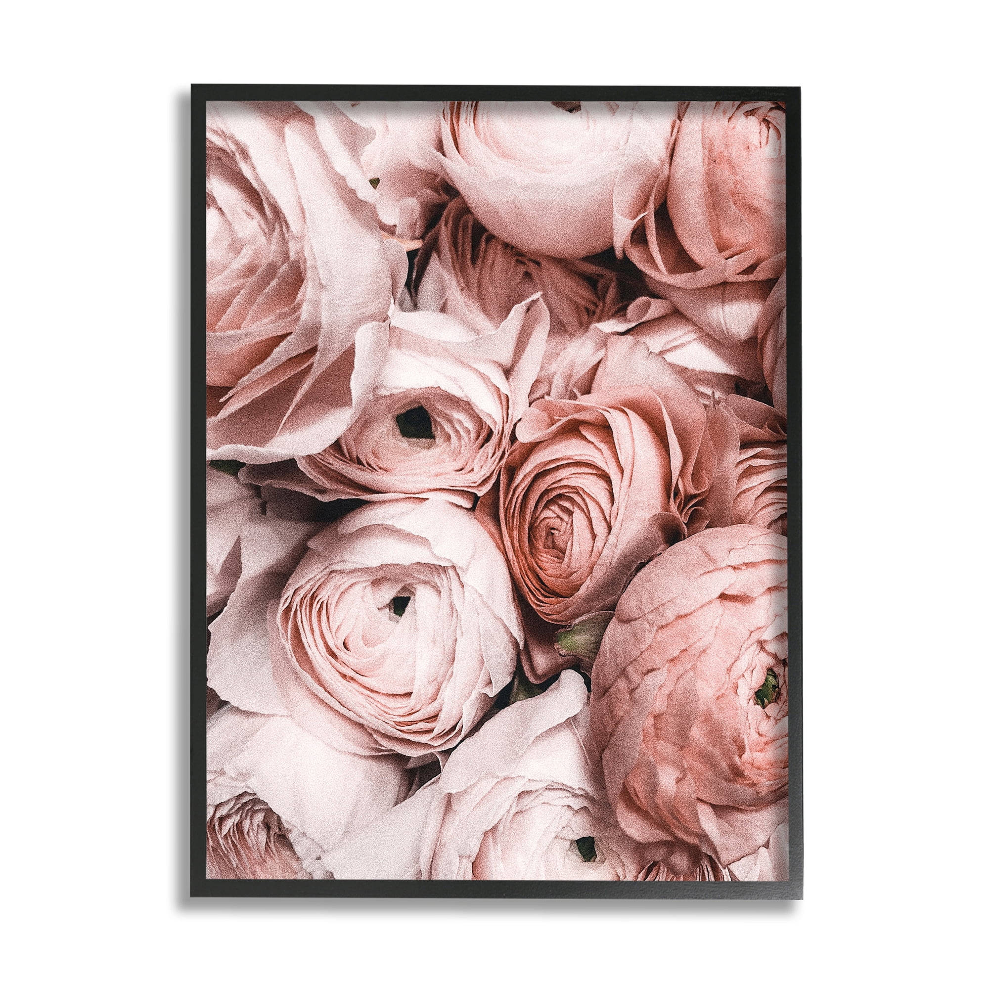 Stupell Industries Pink Muted Peonies Botanical & Floral Photography Black Framed Art Print Wall Art, 11 x 14