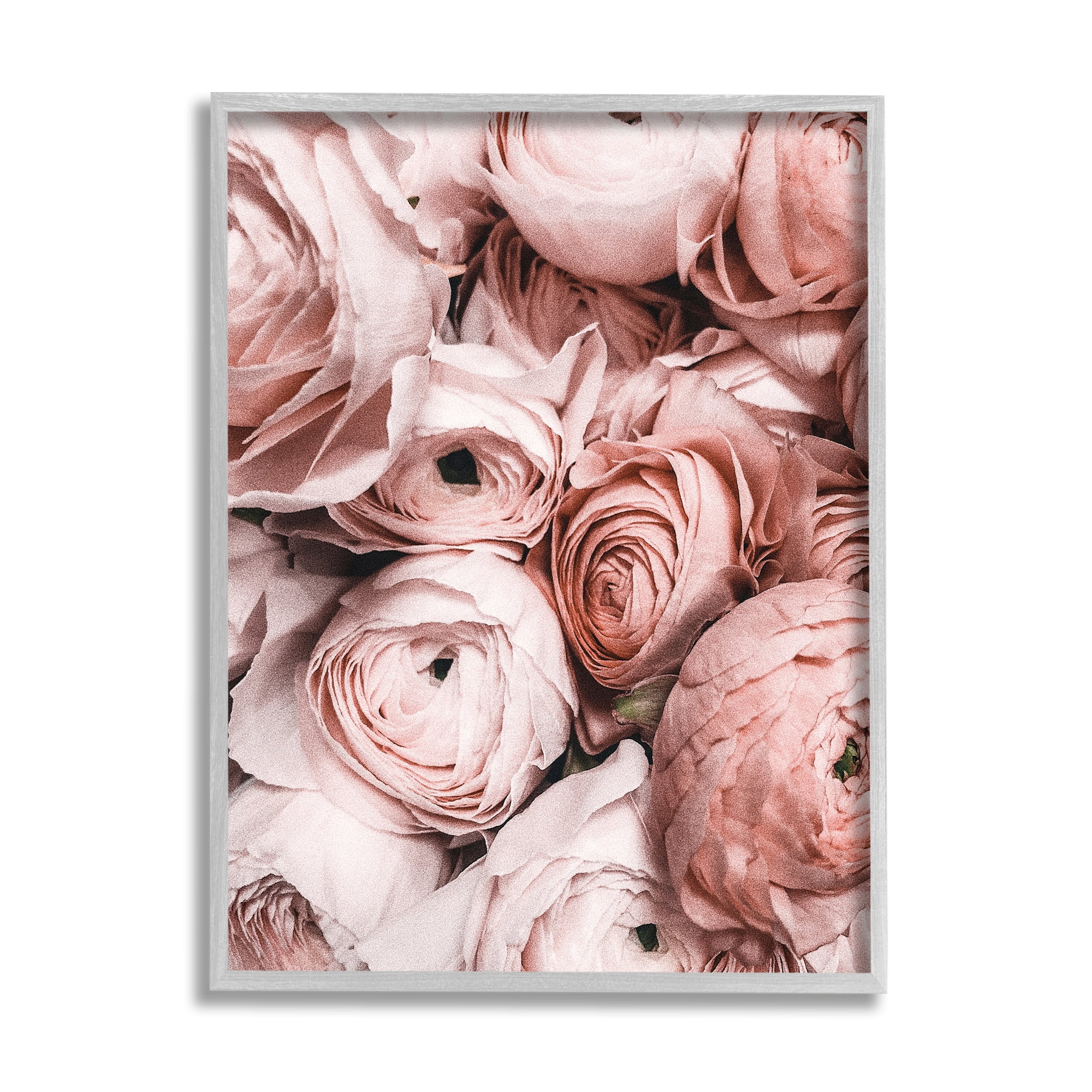 Stupell Industries Pink Muted Peonies Botanical & Floral Photography Gray Framed Art Print Wall Art, 16 x 20