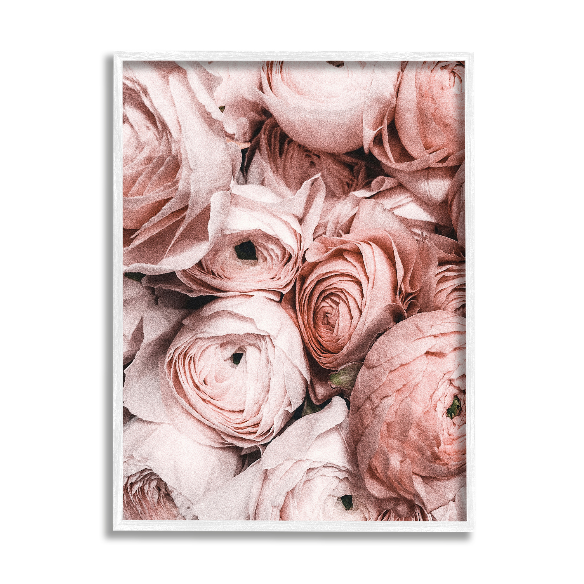 Stupell Industries Pink Muted Peonies Botanical & Floral Photography White Framed Art Print Wall Art, 16 x 20