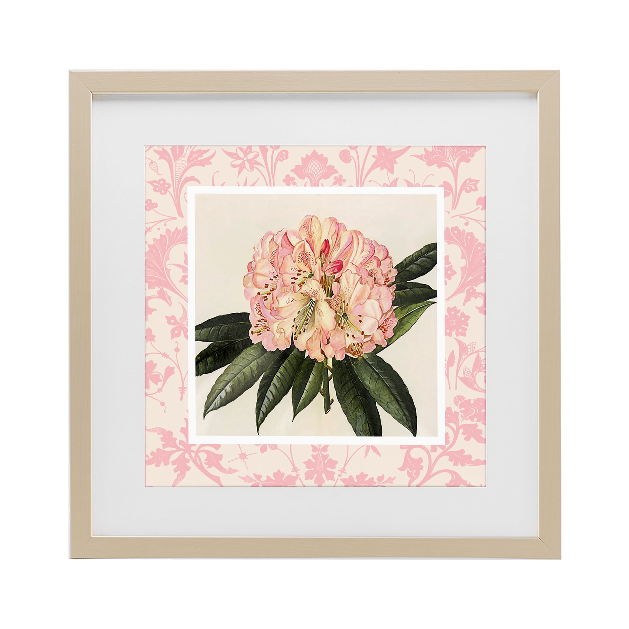 Stupell Industries Pink Pattern Botanical Birch Framed Print Under Glass, design by Livi Finn