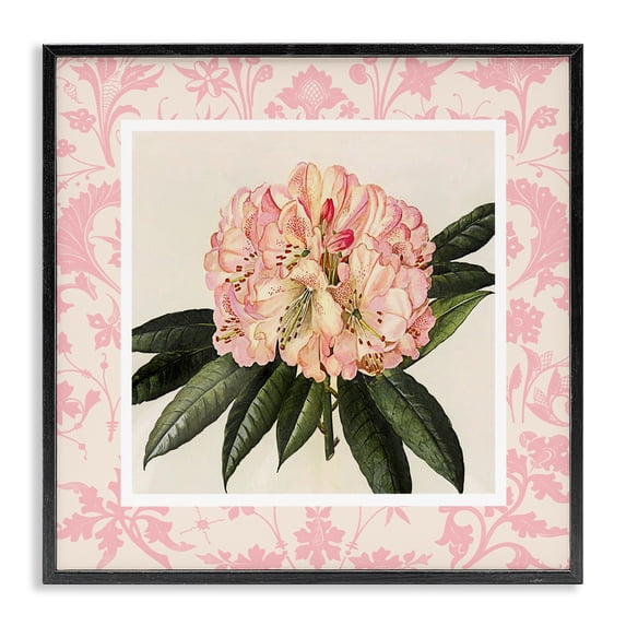 Stupell Industries Cottage Pink Pattern Botanical Black Framed Giclee Art, 12 x 12, by Livi Finn