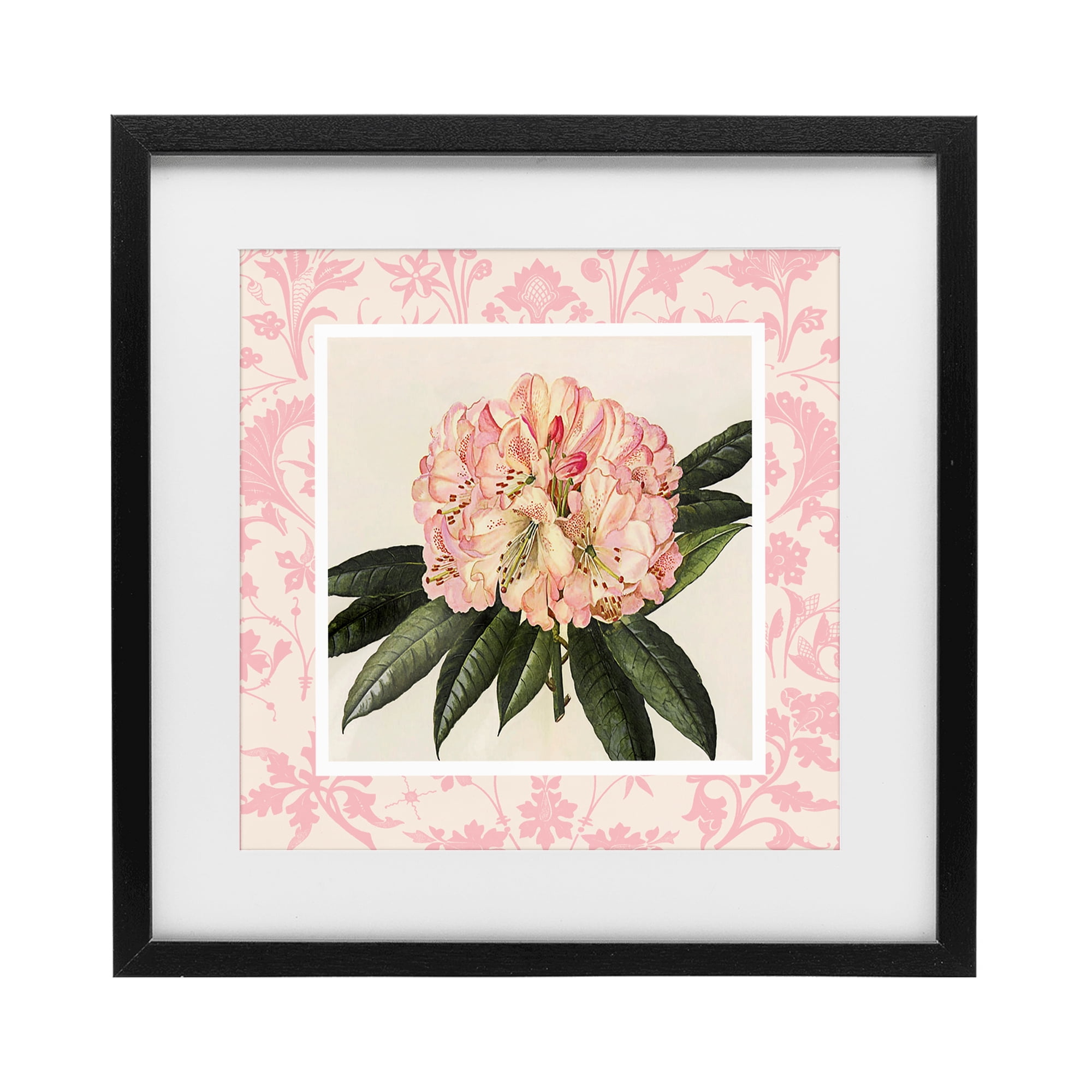 Stupell Industries Pink Pattern Botanical Black Framed Print Under Glass, design by Livi Finn