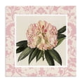 thumbnail image 1 of Stupell Industries Cottage Pink Pattern Botanical Canvas Art, 17 x 17, by Livi Finn, 1 of 8