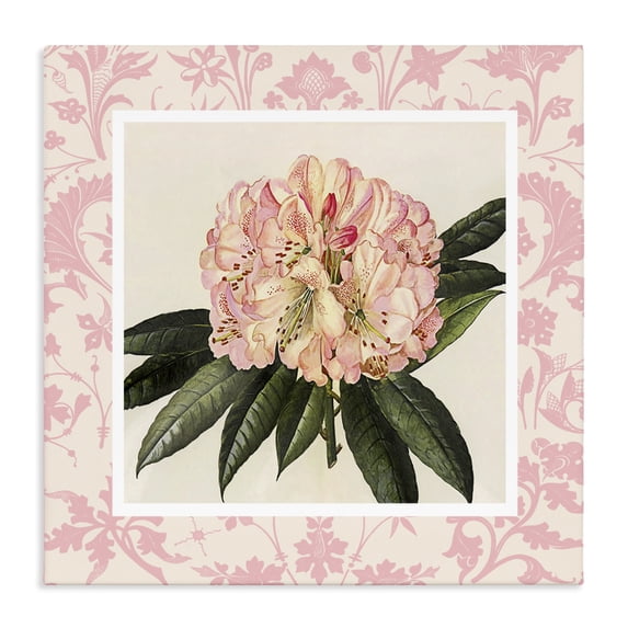 Stupell Industries Cottage Pink Pattern Botanical Canvas Art, 17 x 17, by Livi Finn