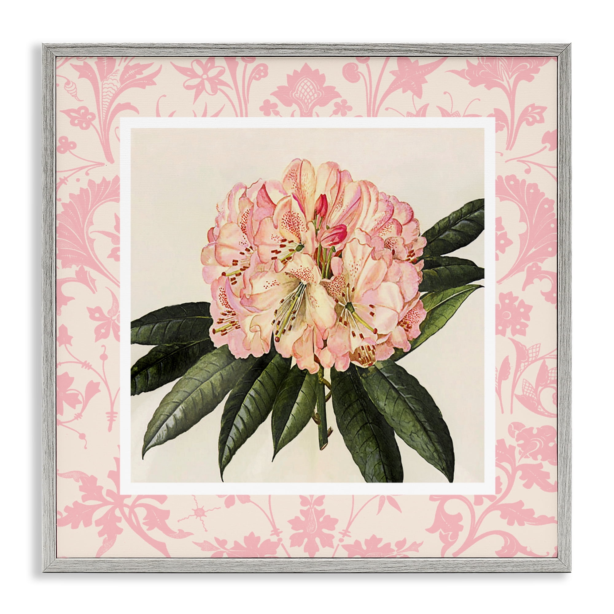 Stupell Industries Pink Pattern Botanical Gray Framed Giclee Art, design by Livi Finn