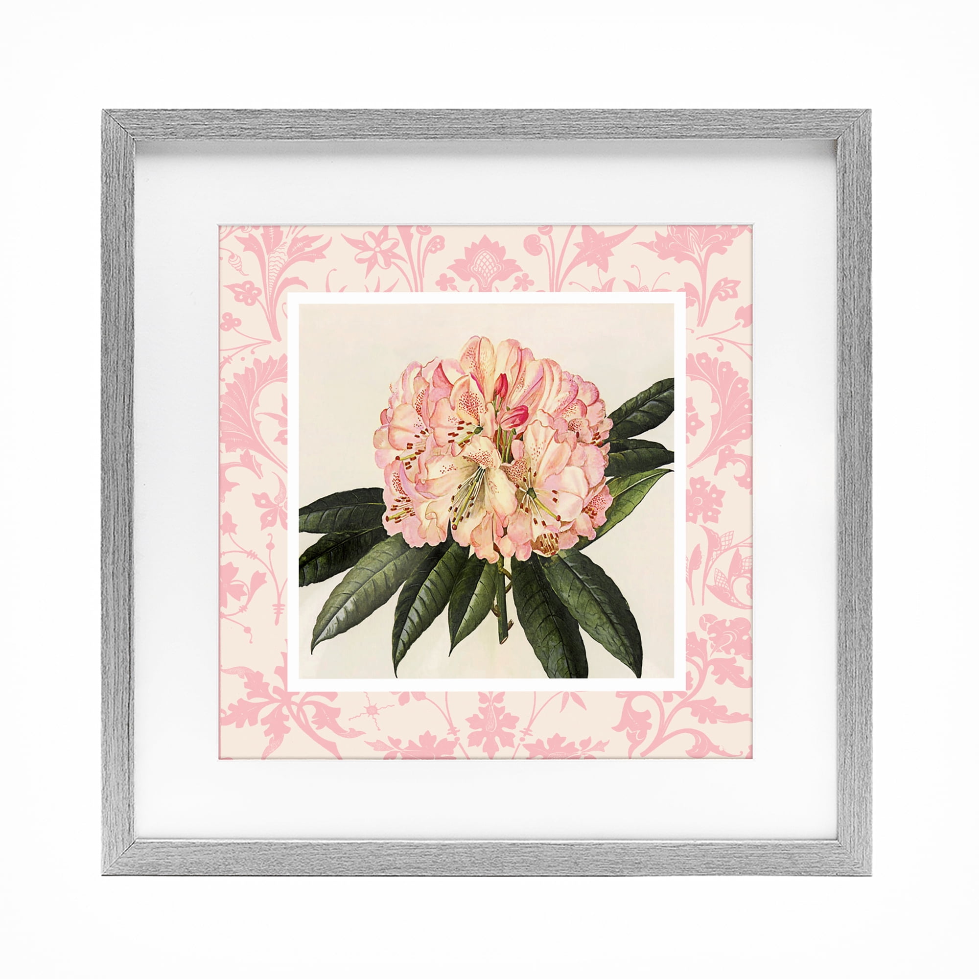 Stupell Industries Pink Pattern Botanical Gray Framed Print Under Glass, design by Livi Finn