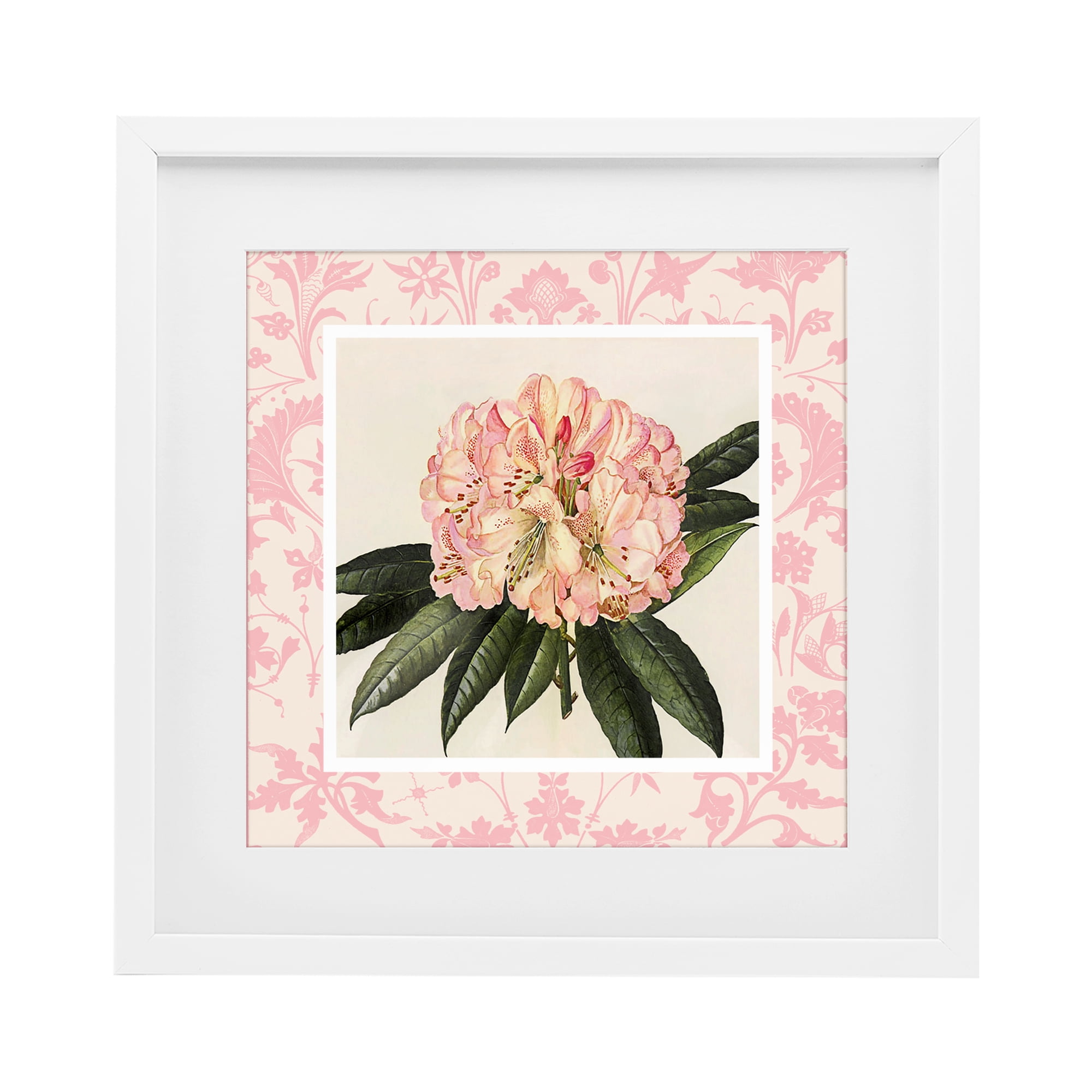 Stupell Industries Pink Pattern Botanical White Framed Print Under Glass, design by Livi Finn
