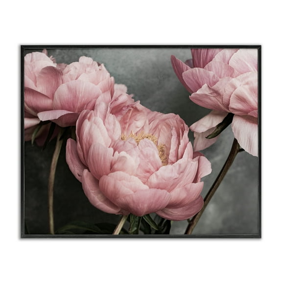 Stupell Industries Pink Peonies Trio Plants & Flowers Painting Black Framed Art Print Wall Art, 14 x 11