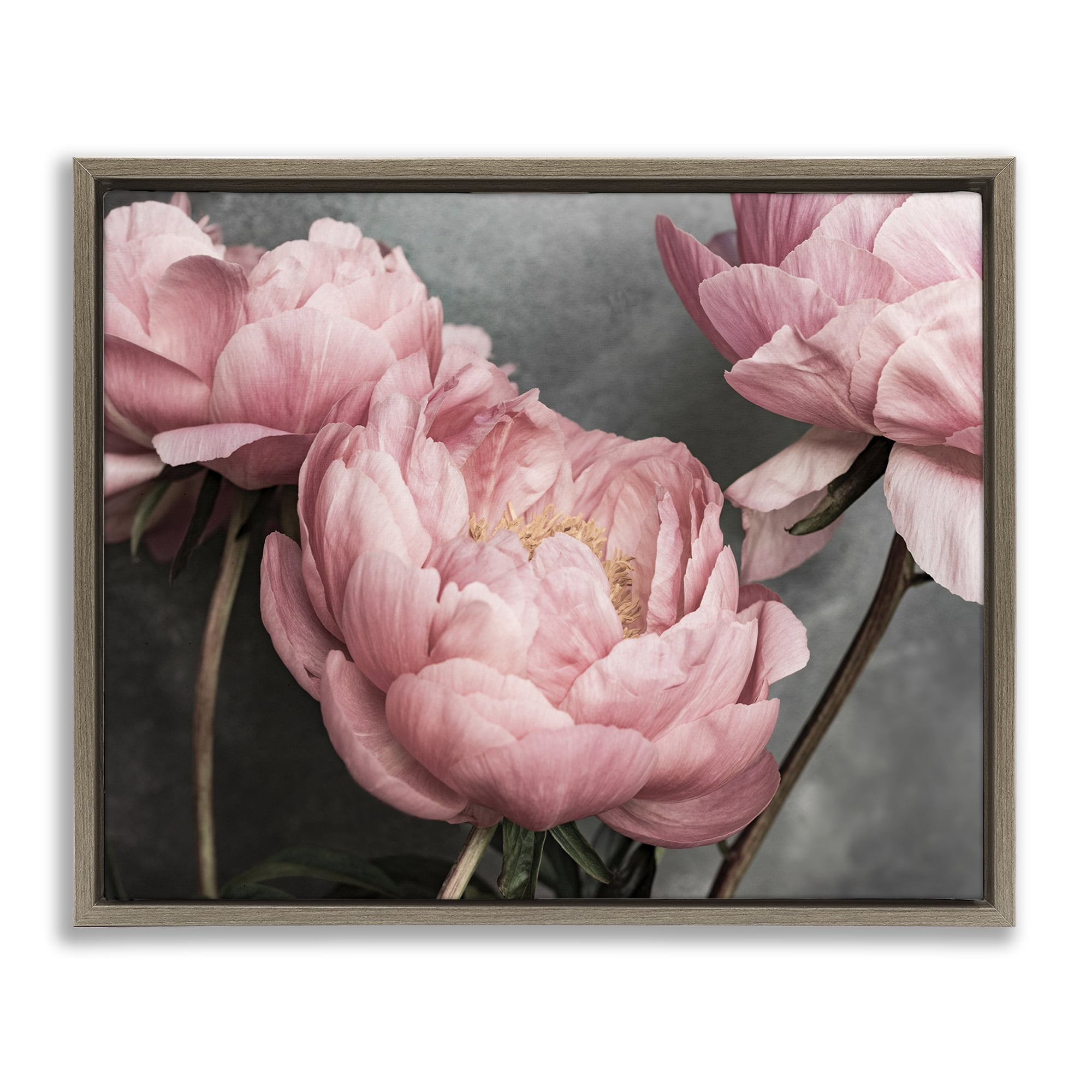 Stupell Industries Pink Peonies Trio Plants & Flowers Painting Brown Floater Framed Canvas Art Print Wall Art, 31 x 25