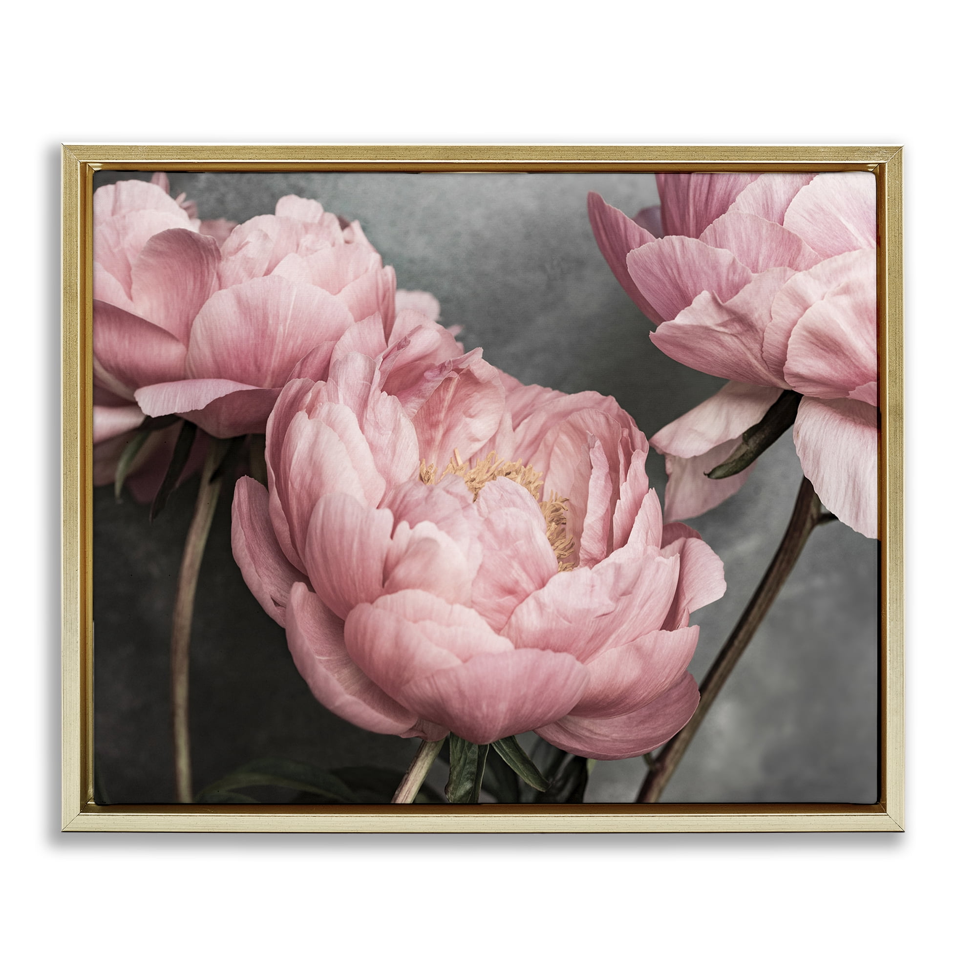 Stupell Industries Pink Peonies Trio Plants & Flowers Painting Gold Floater Framed Canvas Art Print Wall Art, 21 x 17