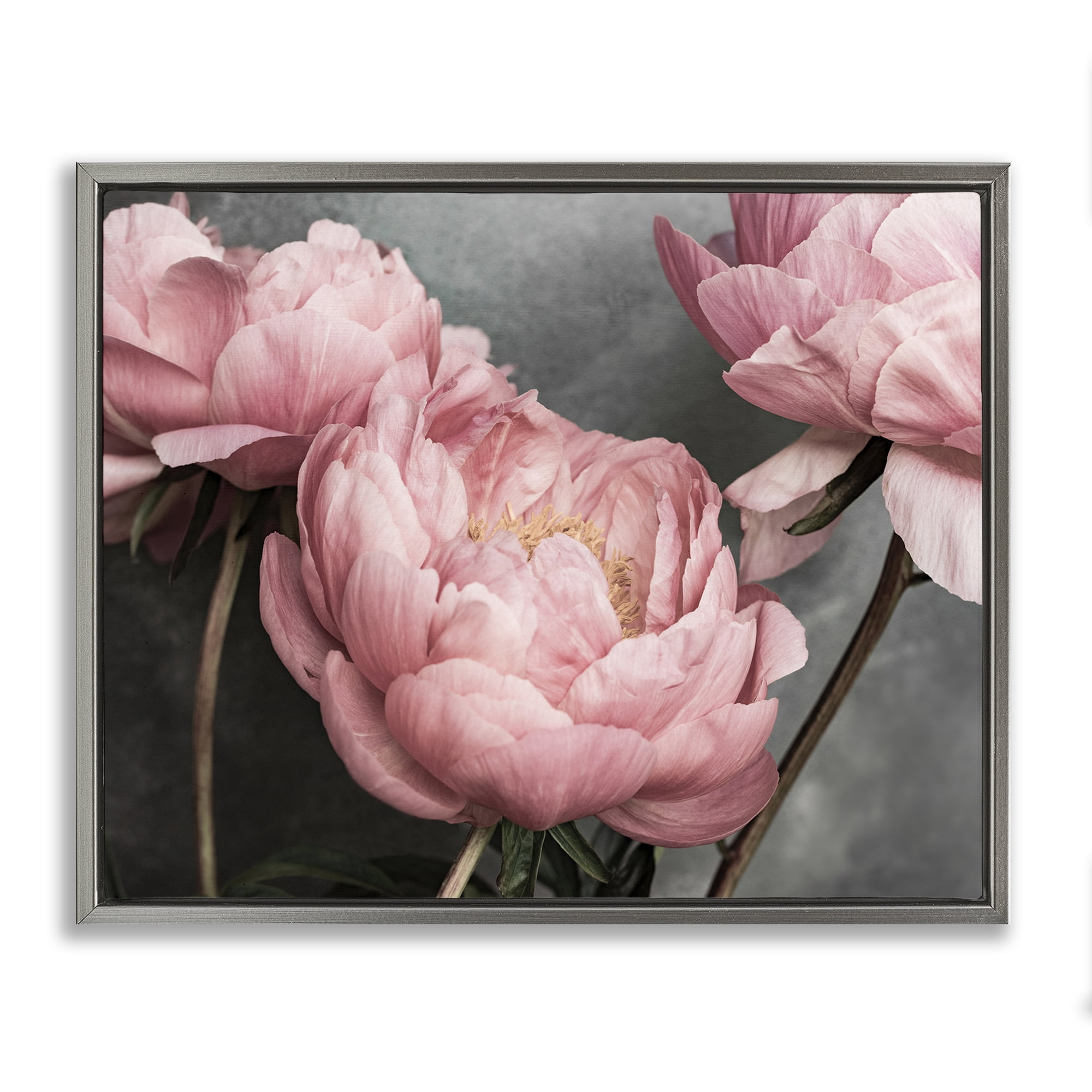 Stupell Industries Pink Peonies Trio Plants & Flowers Painting Gray Floater Framed Canvas Art Print Wall Art, 31 x 25