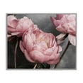 thumbnail image 1 of Stupell Industries Pink Peonies Trio Plants & Flowers Painting Gray Framed Art Print Wall Art, 20 x 16, 1 of 2