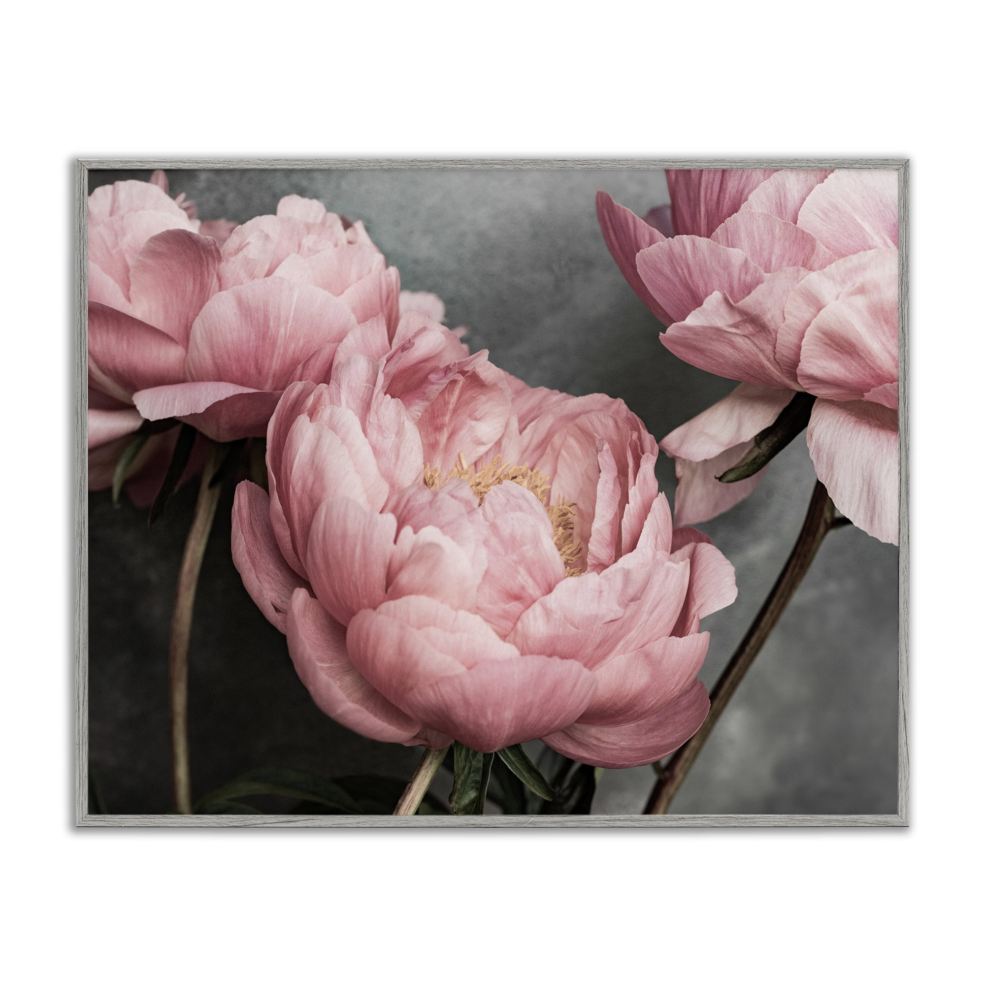 Stupell Industries Pink Peonies Trio Plants & Flowers Painting Gray Framed Art Print Wall Art, 30 x 24