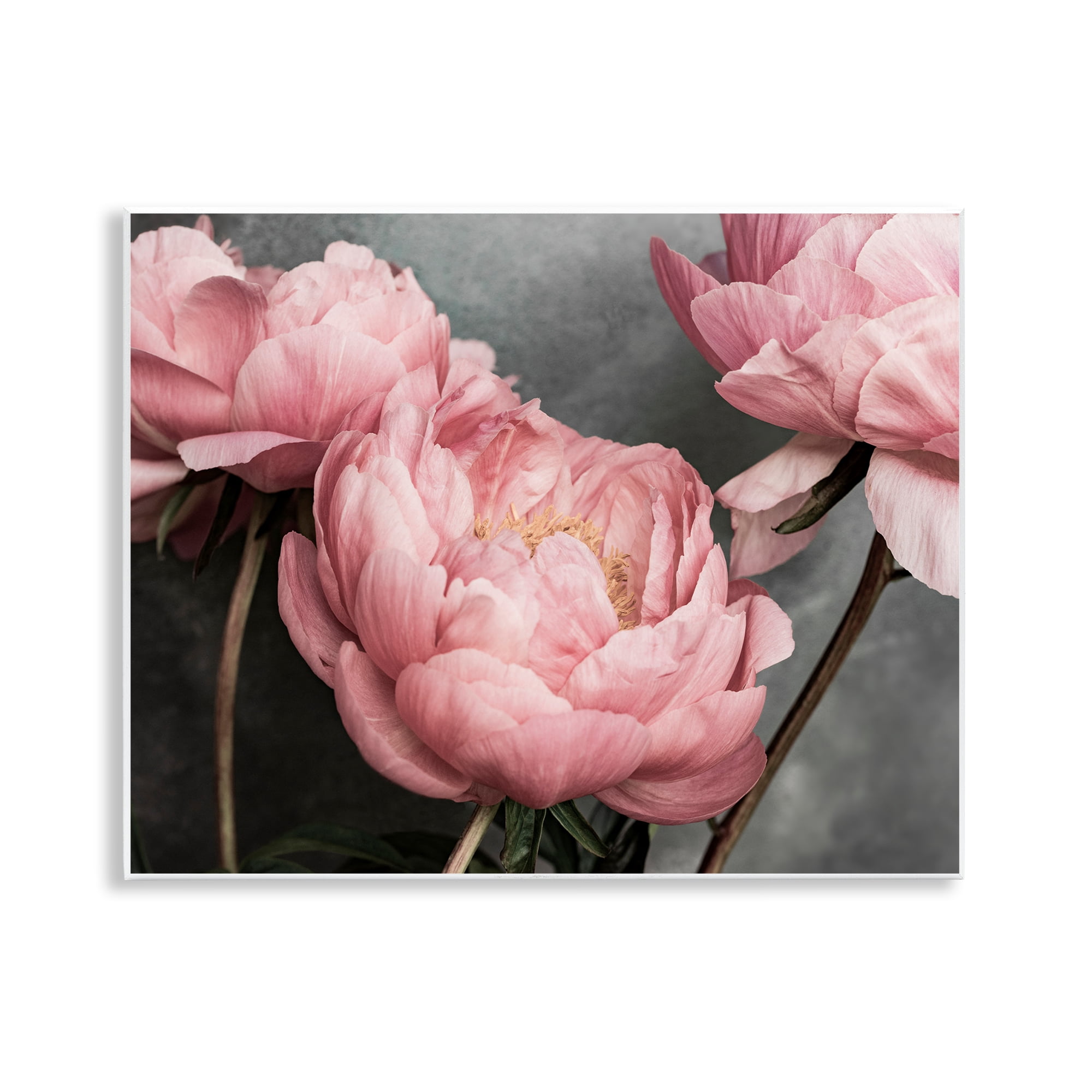 Stupell Industries Pink Peonies Trio Plants & Flowers Painting Unframed Art Print Wall Art, 14 x 11