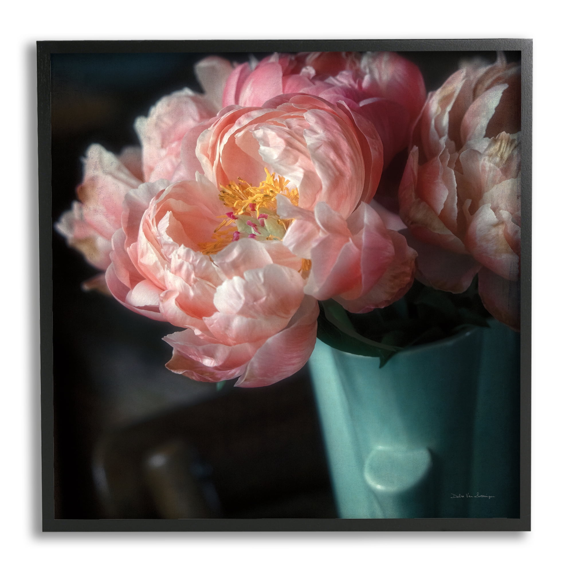 Stupell Industries Pink Peony Photography Botanical & Floral Photography Black Framed Art Print Wall Art, 24 x 24