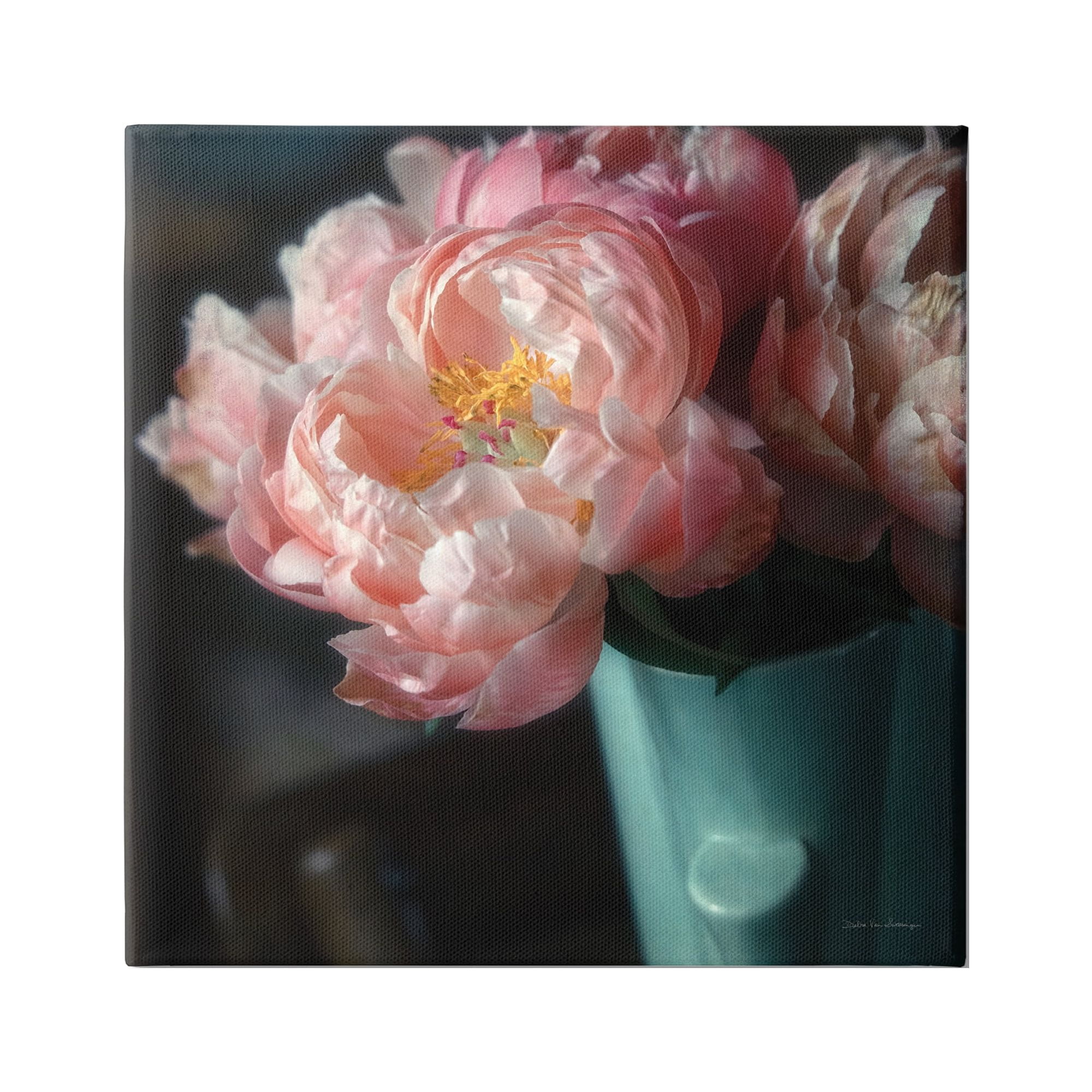 Stupell Industries Pink Peony Photography Botanical & Floral Photography Gallery Wrapped Canvas Art Print Wall Art, 17 x 17