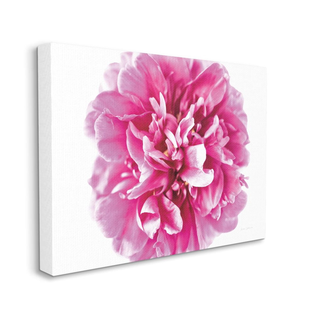 Stupell Industries Pink Pop Flower Petals Pink Curves Photograph Canvas Wall Art Design by Elise Catterall, 36" x 48"