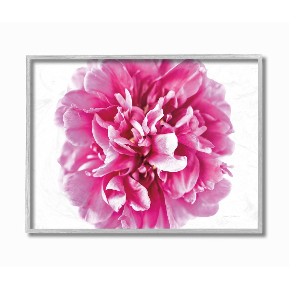 Stupell Industries Pink Pop Flower Petals Pink Curves Photograph Framed Wall Art Design by Elise Catterall, 11" x 14", Gray Framed