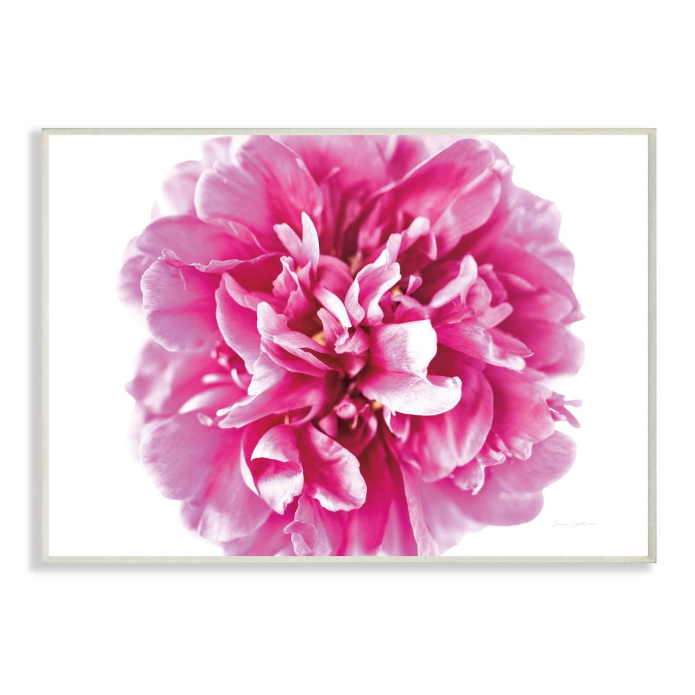 Stupell Industries Pink Pop Flower Petals Pink Curves Photograph Unframed Art Print Wall Art, 10x15, by Elise Catterall