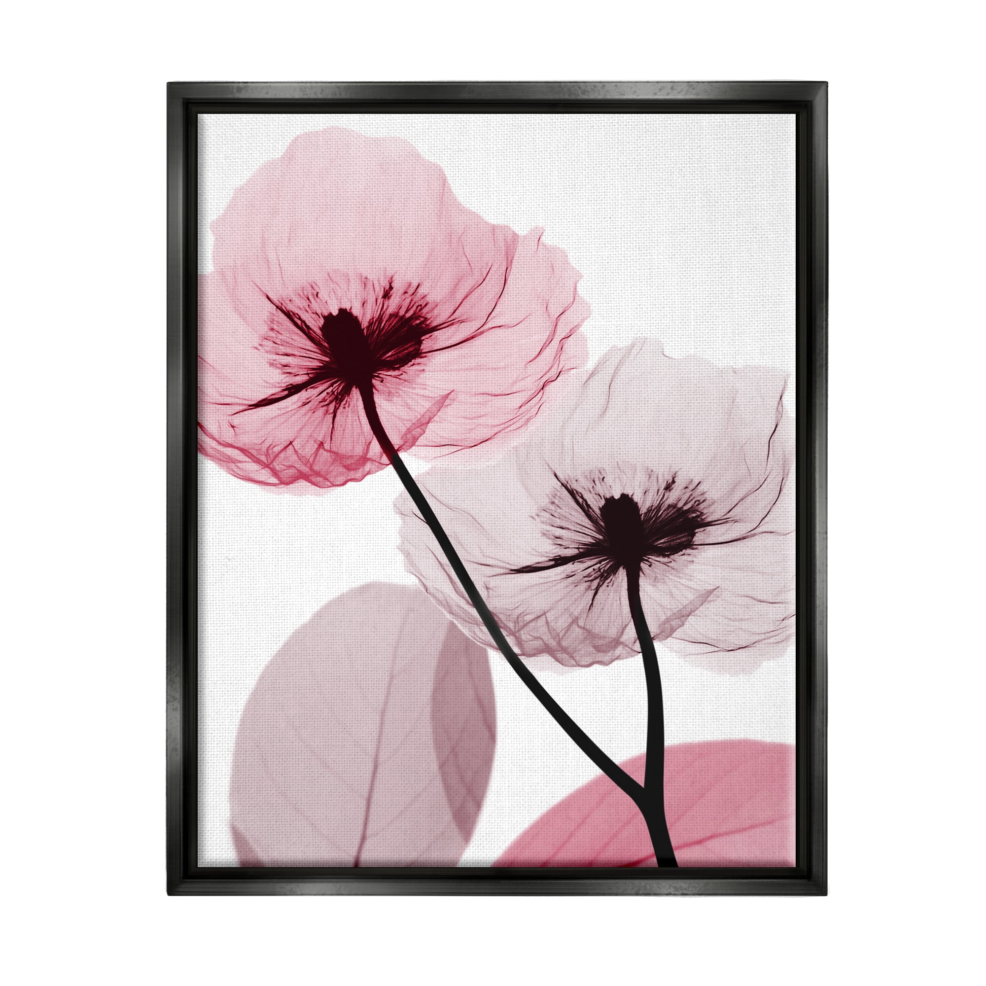 Stupell Industries Pink Poppy Flowers Botanical & Floral Painting Black Floater Framed Art Print Wall Art, 25 x 31