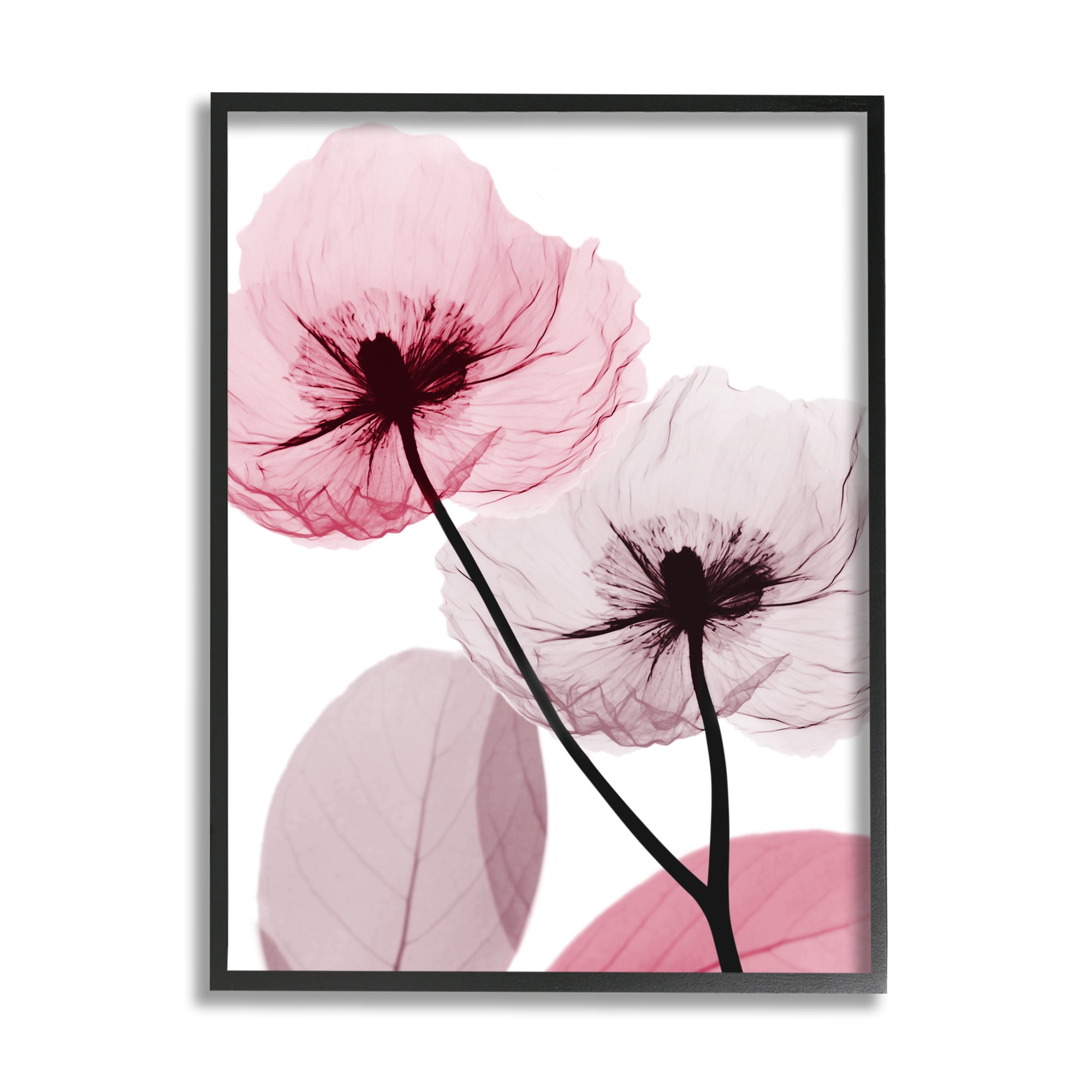Stupell Industries Pink Poppy Flowers Botanical & Floral Painting Black Framed Art Print Wall Art, 16 x 20