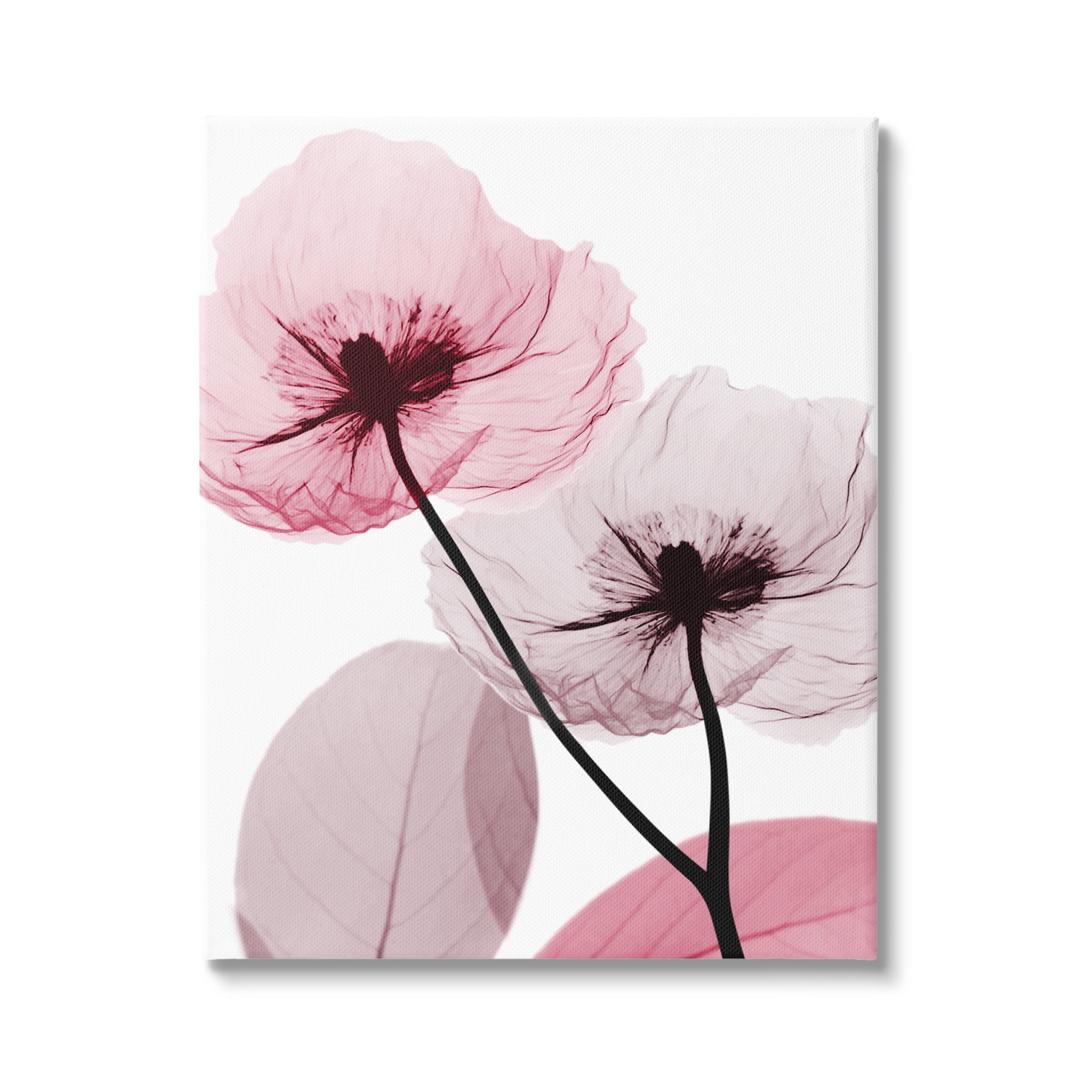 Stupell Industries Pink Poppy Flowers Botanical & Floral Painting Gallery Wrapped Canvas Print Wall Art, 16 x 20