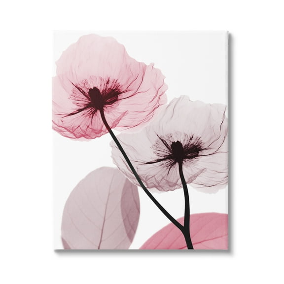 Stupell Industries Pink Poppy Flowers Botanical & Floral Painting Gallery Wrapped Canvas Print Wall Art, 16 x 20