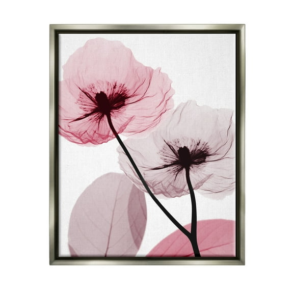 Stupell Industries Pink Poppy Flowers Botanical & Floral Painting Gray Floater Framed Art Print Wall Art, 25 x 31