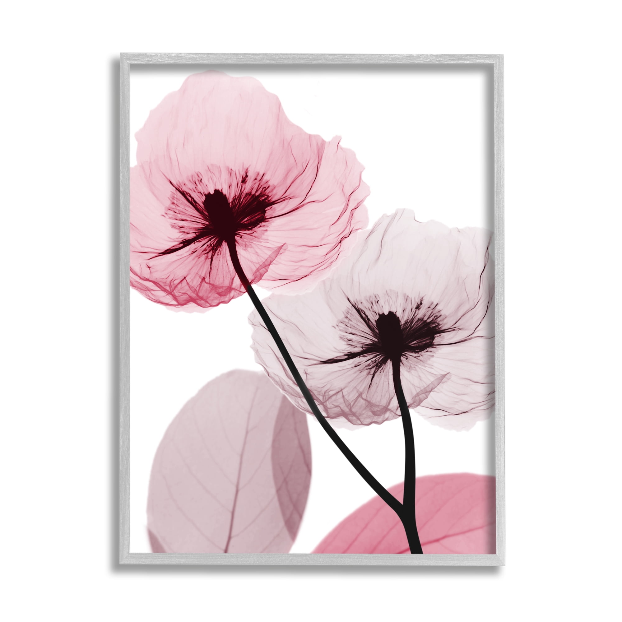 Stupell Industries Pink Poppy Flowers Botanical & Floral Painting Gray Framed Art Print Wall Art, 24 x 30