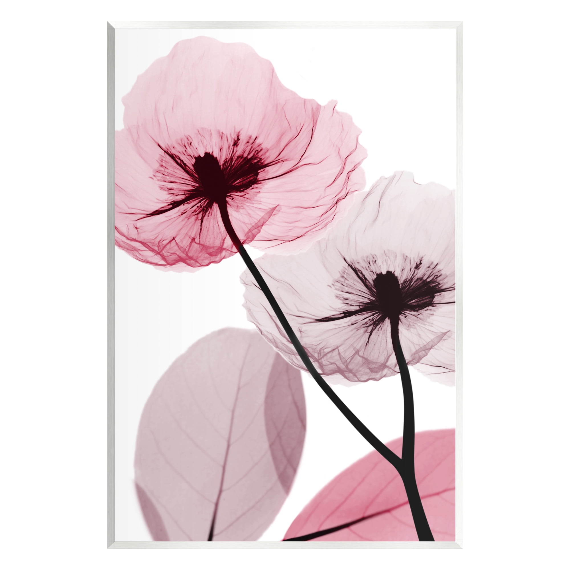 Stupell Industries Pink Poppy Flowers Botanical & Floral Painting Unframed Art Print Wall Art, 13 x 19
