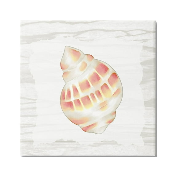 Stupell Industries Pink Rustic Seashell Animals & Insects Painting Gallery Wrapped Canvas Print Wall Art, 17 x 17