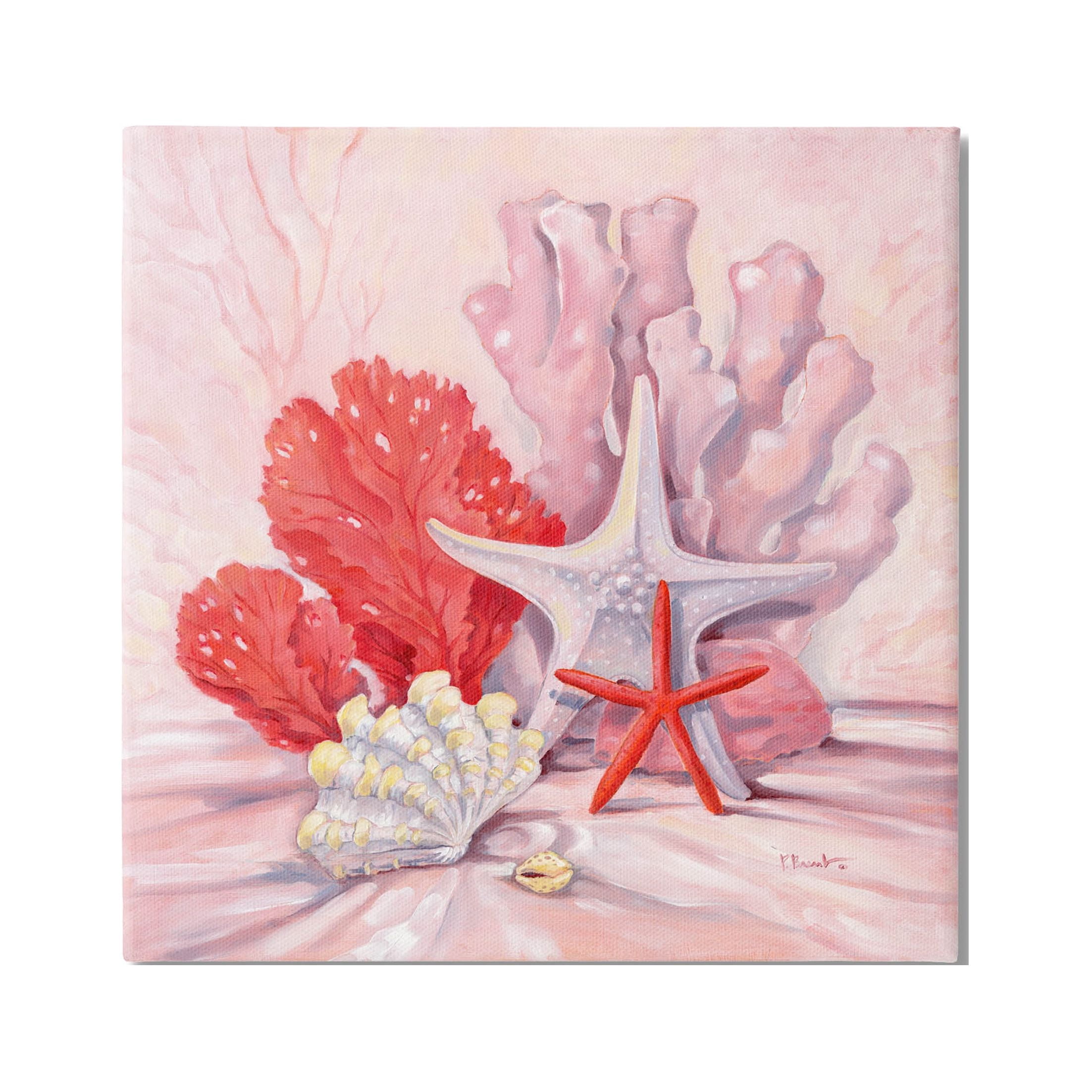 Stupell Industries Pink Shells Coral Still Life Painting Gallery Wrapped Canvas Print Wall Art, Design by Paul Brent