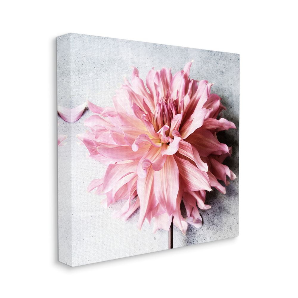 Stupell Industries Pink Spring Floral with Curly Petal Details Designed by Sarah Jane