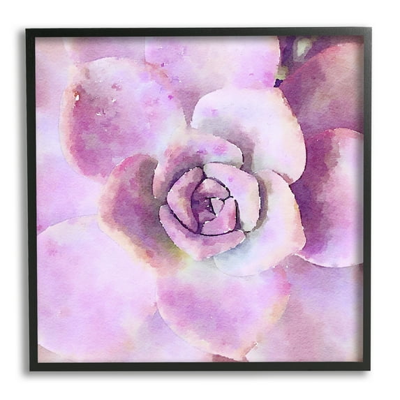 Stupell Industries Pink Succulent Botanical Leaves Botanical & Floral Painting Black Framed Art Print Wall Art
