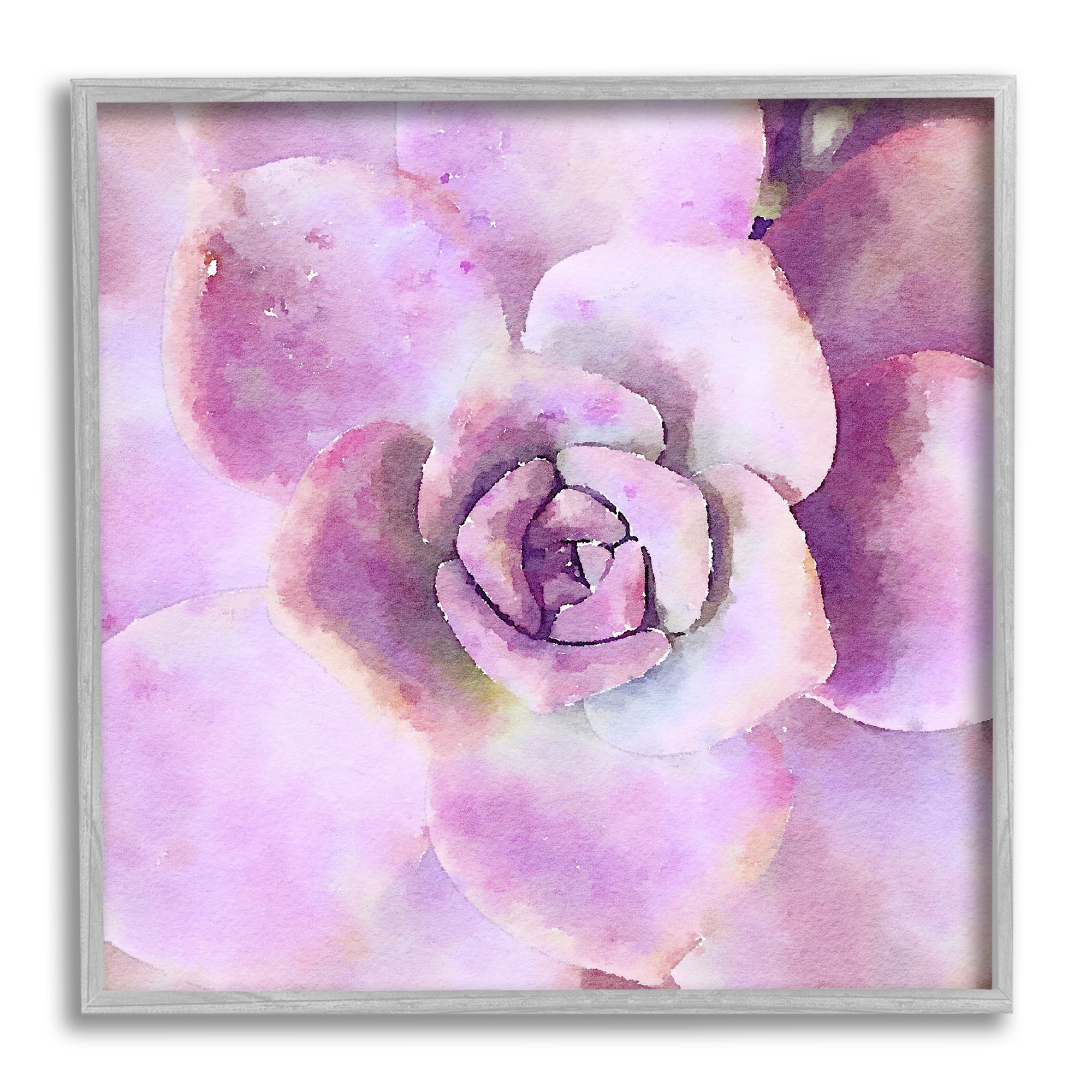 Stupell Industries Pink Succulent Botanical Leaves Botanical & Floral Painting Gray Framed Art Print Wall Art